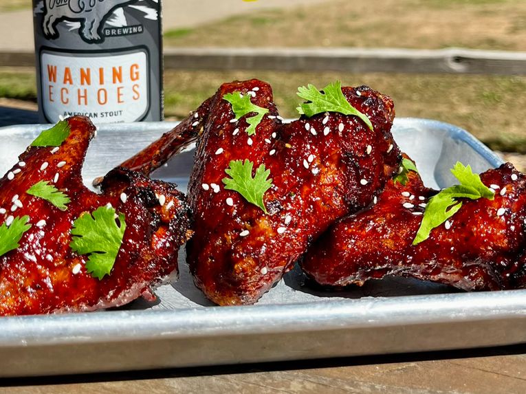 Dark Wing Duck